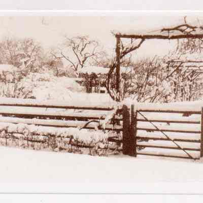 Print, Photographic