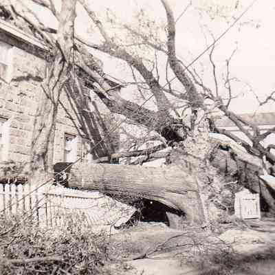 1938 Hurricane