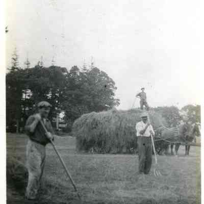 Print, Photographic