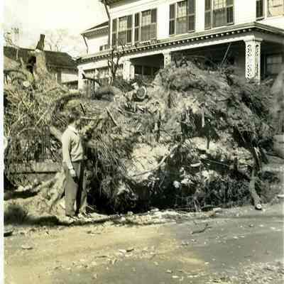 Downed trees in front of house at corner of High and Main Streets