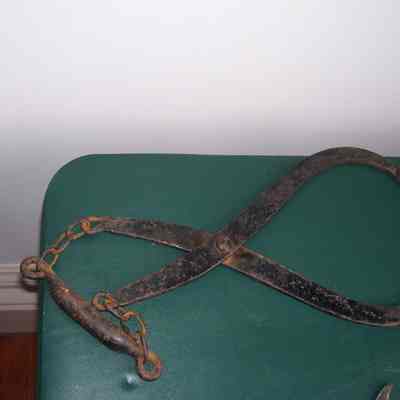 Tongs, Ice