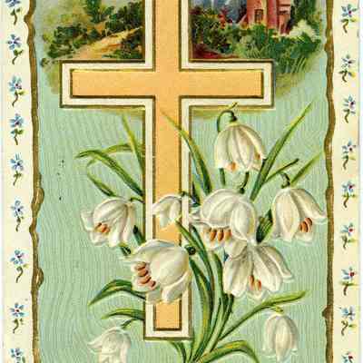 Postcard