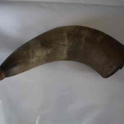 Horn, Powder