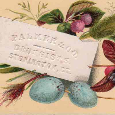 Palmer & Co. Trade Card