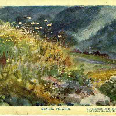 Postcard