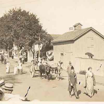 Oxen pulling cart on Elm Street, Stonington CT