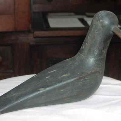 Decoy