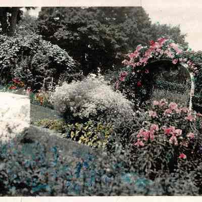 Print, Photographic