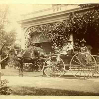 Women in Buggy
