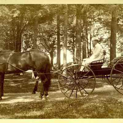 Eugene P. Edwards in a surrey