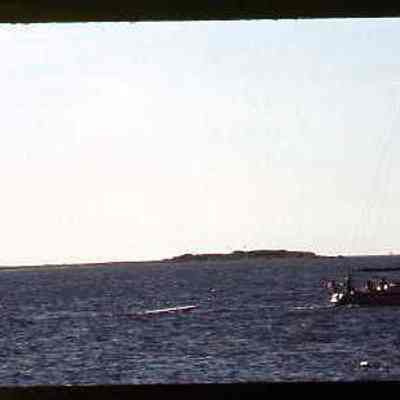 Stonington Harbor