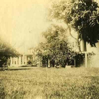 Looking towards buildings at "The Hill"