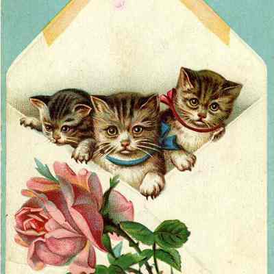 Postcard