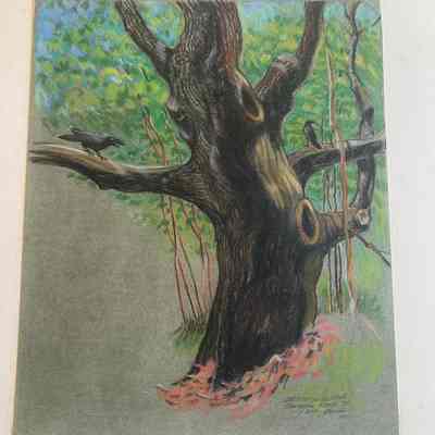 Old Tree on the N. Stonington Road, 2000