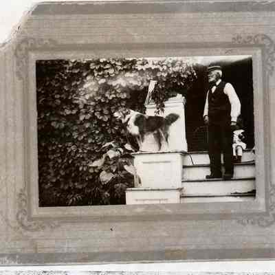 Lighthouse Keeper at home with dog and small child