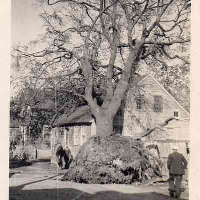 1938 Hurricane