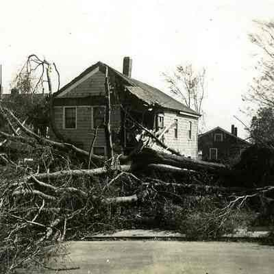 Large upended trees with house damage