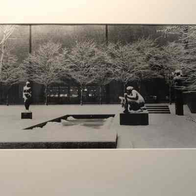 MoMA Garden in Winter