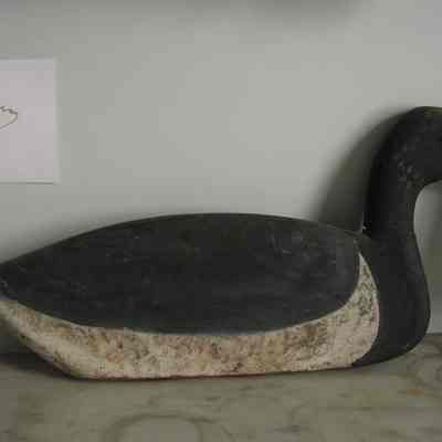 Decoy