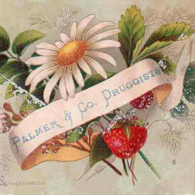 Palmer & Co. Trade Card