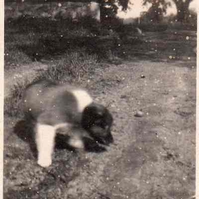 Print, Photographic