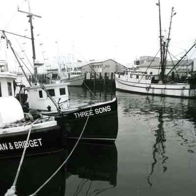Last Fishing Fleet