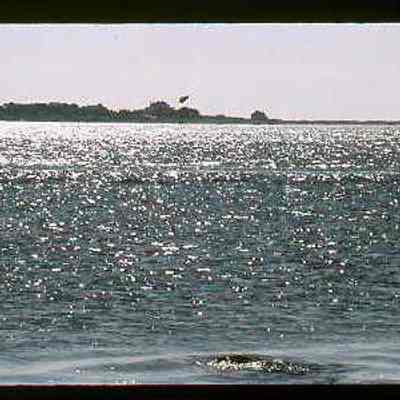 Stonington Harbor