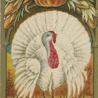 Thanksgiving Greeting