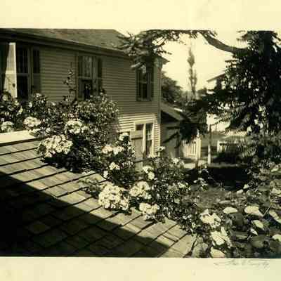 35 Grand Street, Stonington CT view from roof with flowers