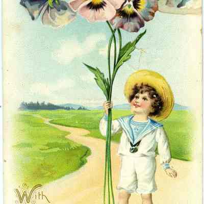 Postcard