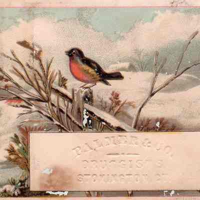 Palmer & Co. Trade Card