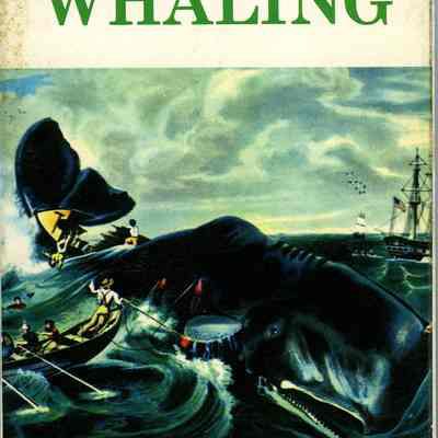 The Story of Yankee Whaling
