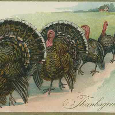 Thanksgiving Day