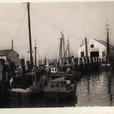 Bindloss Dock, Stonington