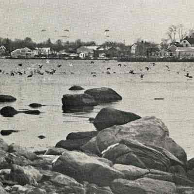 Stonington Harbor, Stonington CT