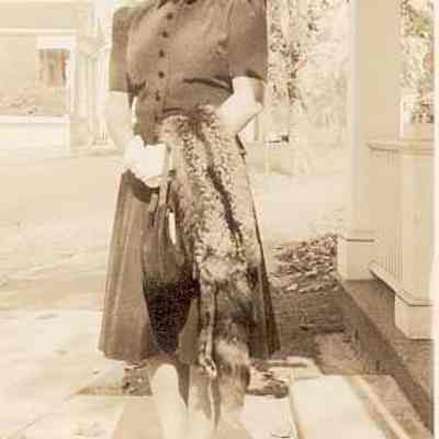 Dorothea Hewitt Gould collection