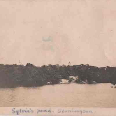 Print, Photographic