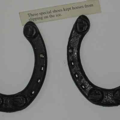 Horseshoe