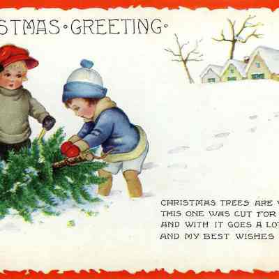 Postcard