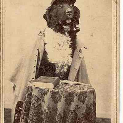 Print, Photographic