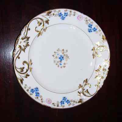 Plate, Dinner