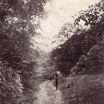 Lantern Hill Road, [North Stonington CT]