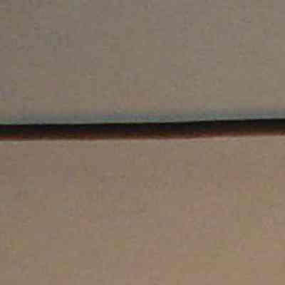 Harpoon