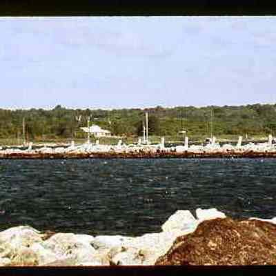 Stonington Harbor