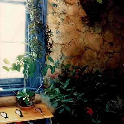 "A Secret Garden", Palmer House, 1989