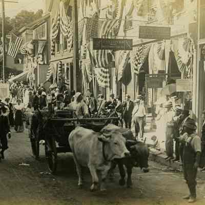 King Philip's War Float 1675