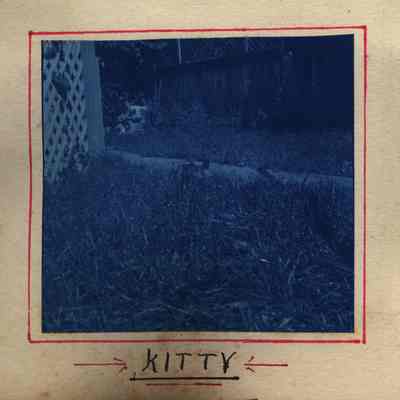 Kitty