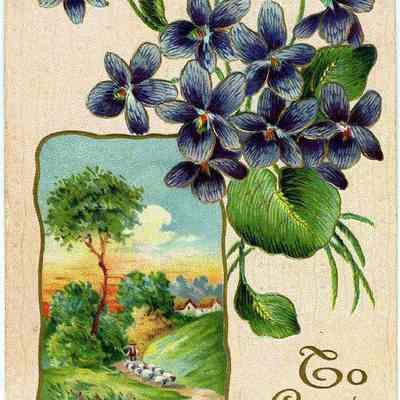 Postcard