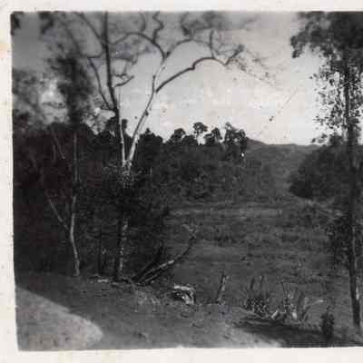 Fred Weeks WWII Photographs