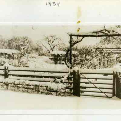 Print, Photographic